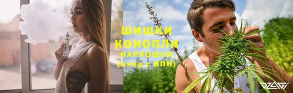 ешки Новозыбков