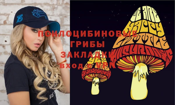 ешки Новозыбков