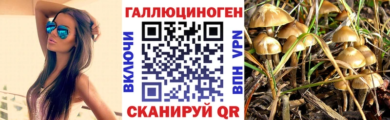 Псилоцибиновые грибы мицелий Красноуфимск